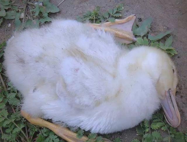 微信圖片_20251106111359.jpg 微信圖片_20251106111359.jpg