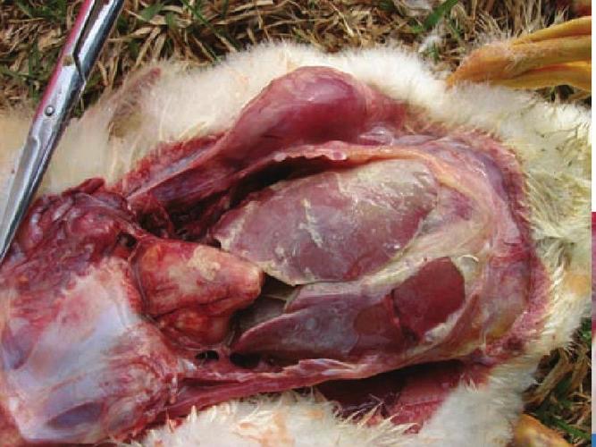 微信圖片_20251106111355.jpg 微信圖片_20251106111355.jpg