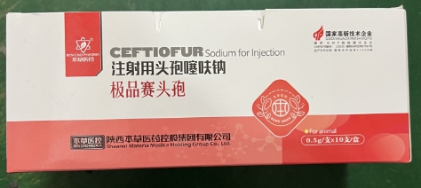 微信截圖_20251106111325.jpg 微信截圖_20251106111325.jpg