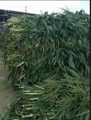 截圖20251107092212.png 截圖20251107092212.png