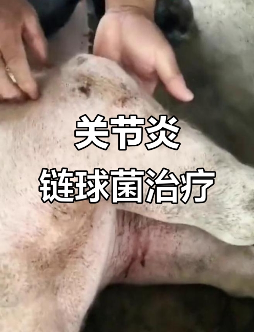 微信截圖_20251112091946.jpg 微信截圖_20251112091946.jpg