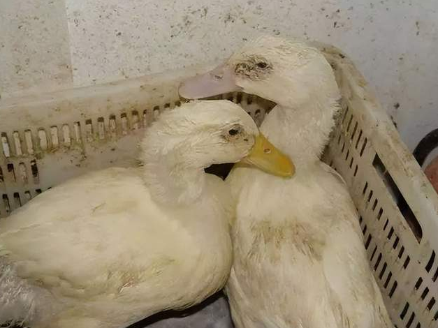 QQ圖片20251112103558.png QQ圖片20251112103558.png