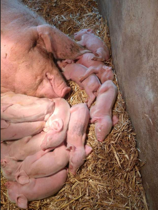 截圖20251117094454.png 截圖20251117094454.png