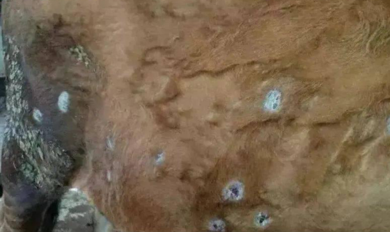 QQ圖片20251119104445.png QQ圖片20251119104445.png