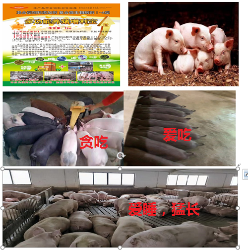 微信圖片_20230830110327.png 微信圖片_20230830110327.png