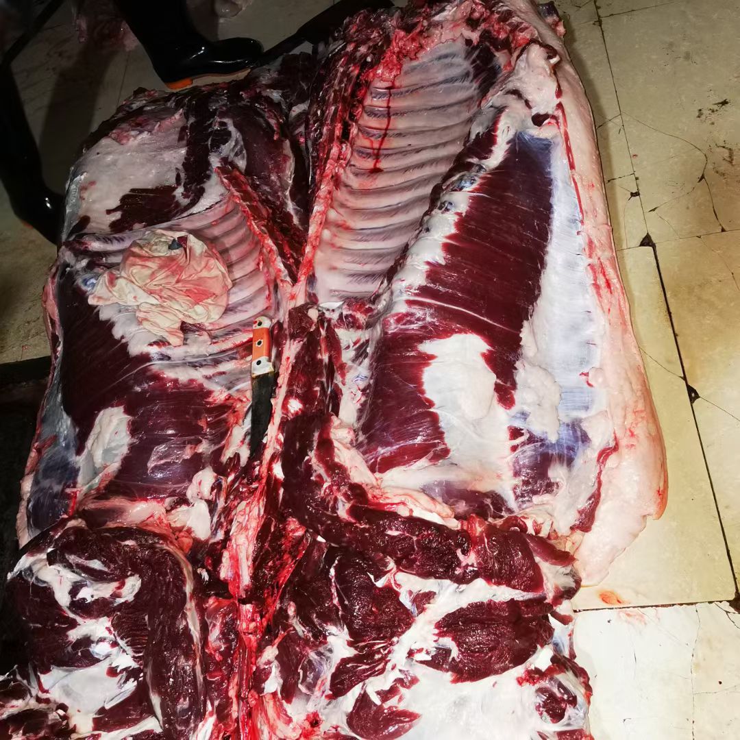 3719244F029168DA7C25A3948DDC8BA5.jpg 3719244F029168DA7C25A3948DDC8BA5.jpg