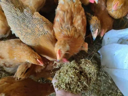 微信圖片_20231229103119.jpg 微信圖片_20231229103119.jpg