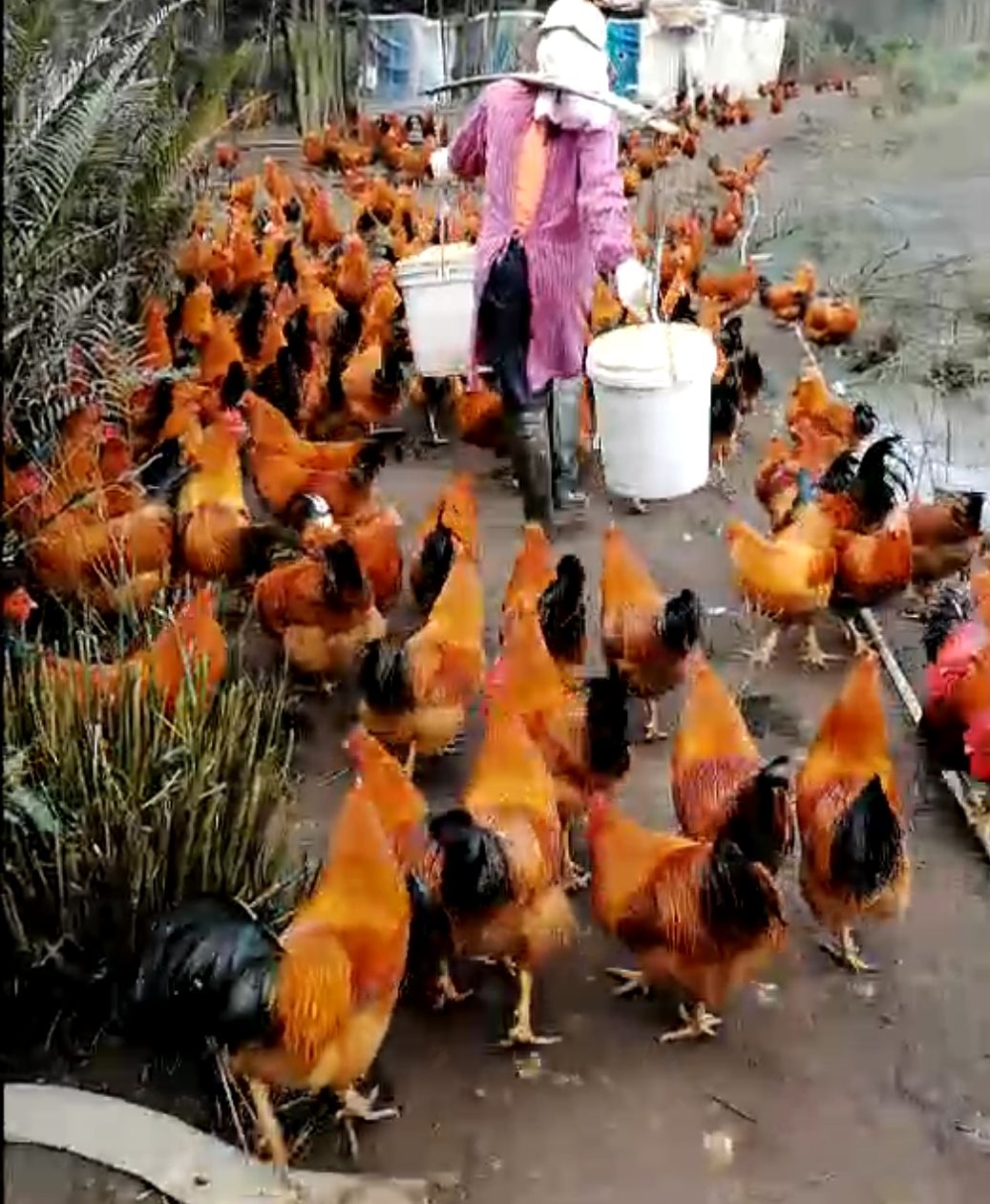 QQ圖片20230720114552.jpg QQ圖片20230720114552.jpg