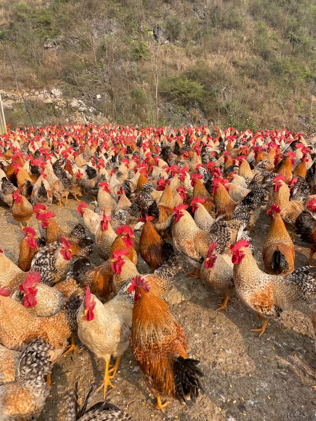 微信圖片_20250606115401.jpg 微信圖片_20250606115401.jpg