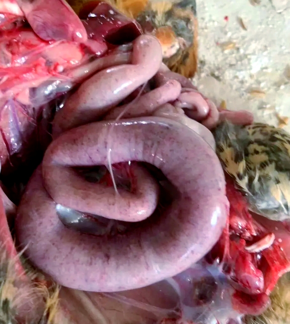 微信截圖_20251126091722.jpg 微信截圖_20251126091722.jpg