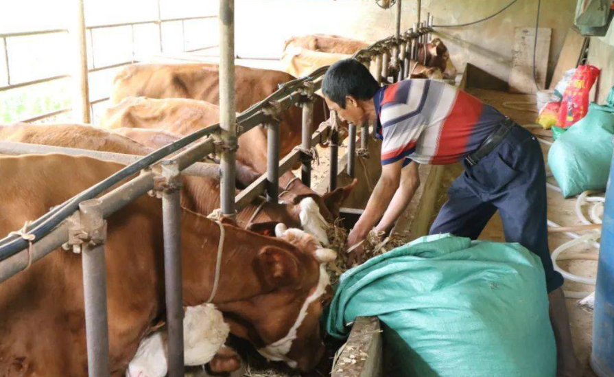 截圖20251128094244.png 截圖20251128094244.png