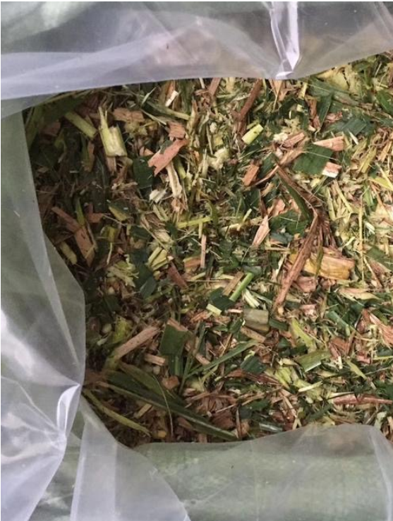 截圖20251128094646.png 截圖20251128094646.png