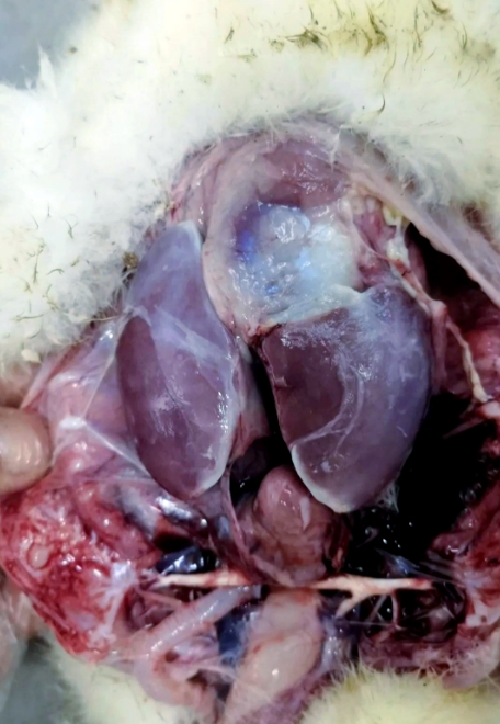 微信截圖_20251216092410.jpg 微信截圖_20251216092410.jpg