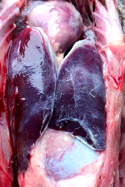 微信截圖_20251216092357.jpg 微信截圖_20251216092357.jpg