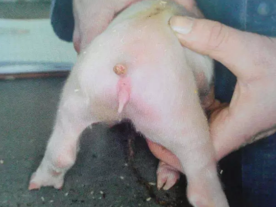 QQ圖片20251217122345.png QQ圖片20251217122345.png