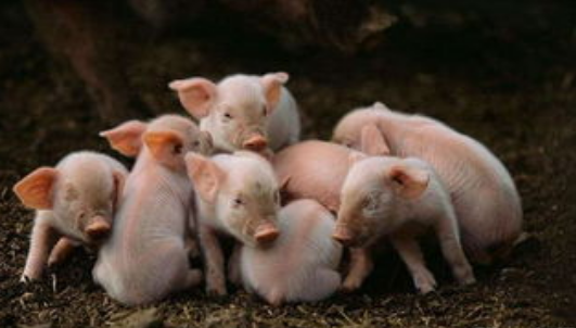 QQ圖片20251217121043.png QQ圖片20251217121043.png