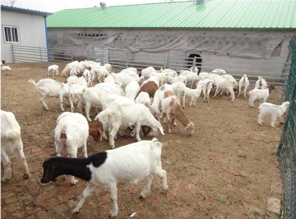 QQ瀏覽器截圖20241031104914.png QQ瀏覽器截圖20241031104914.png