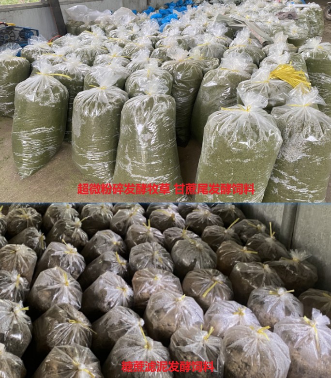 廣西助農生態養殖示范基地長期提供優質發酵飼料2.jpg 廣西助農生態養殖示范基地長期提供優質發酵飼料2.jpg