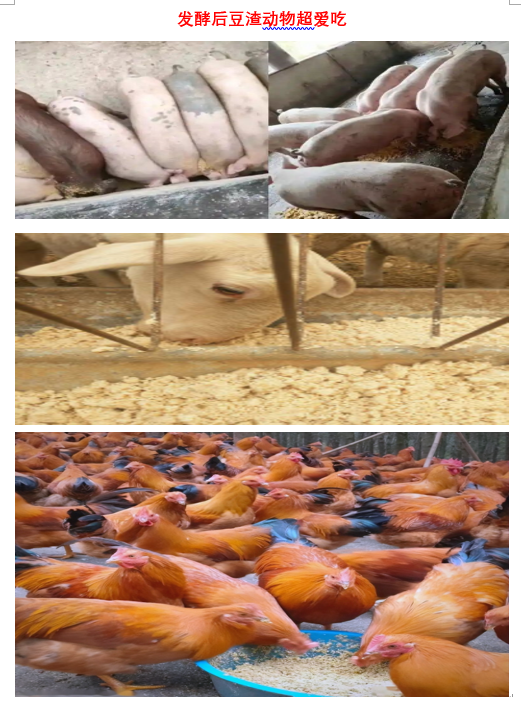 3c6afc6dcfd9f211291fe16daf28d0d7.png 3c6afc6dcfd9f211291fe16daf28d0d7.png