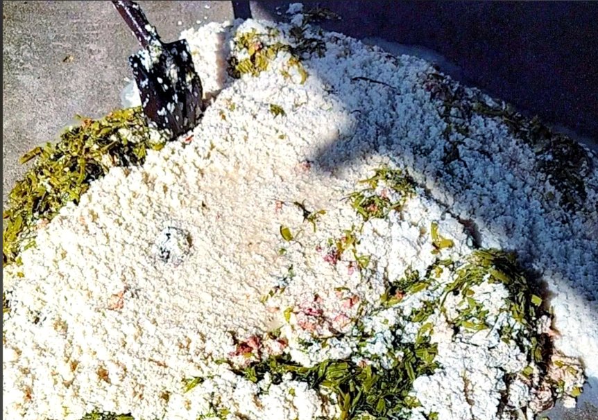 截圖20260107100109.png 截圖20260107100109.png