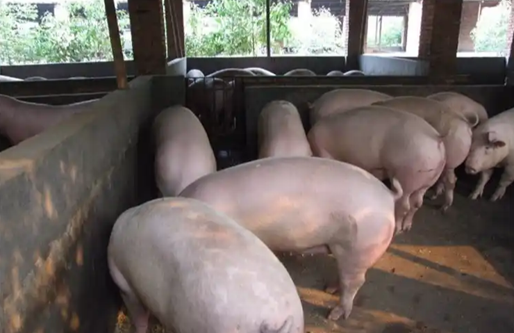 截圖20260107100934.png 截圖20260107100934.png