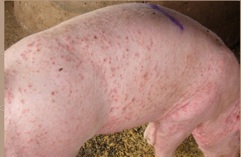 截圖20260107102056.png 截圖20260107102056.png