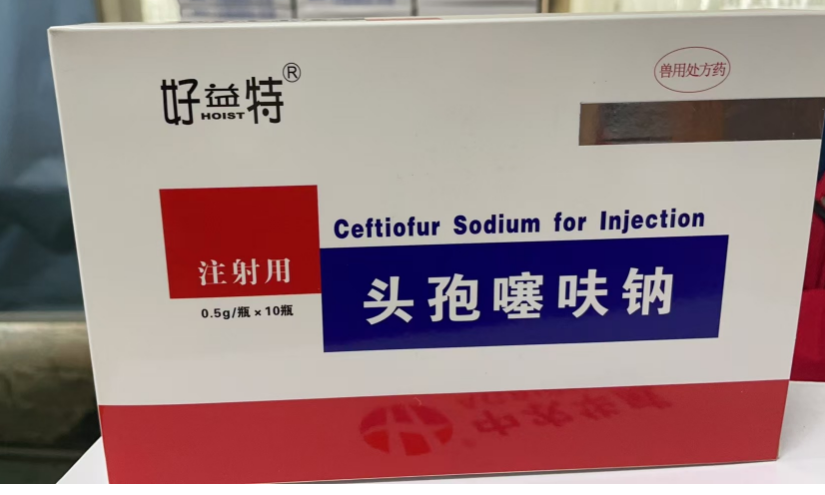 QQ瀏覽器截圖20241223092632.png QQ瀏覽器截圖20241223092632.png