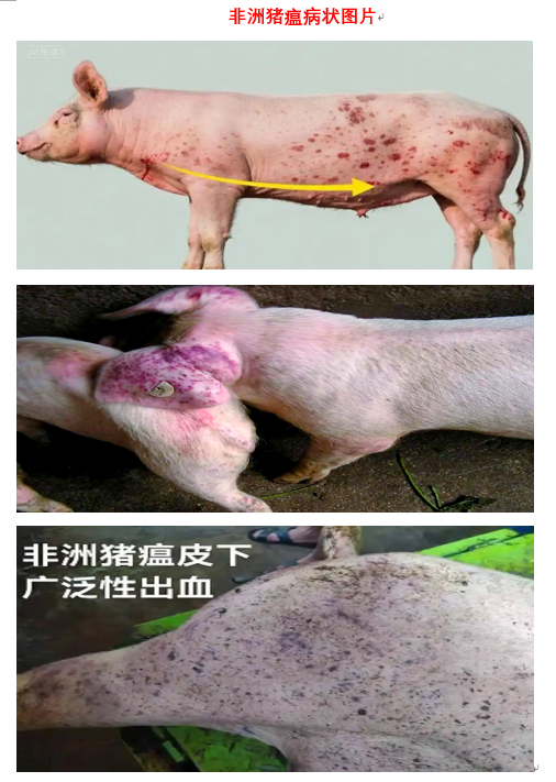 778a55048234847a940274da90d1cf12.png 778a55048234847a940274da90d1cf12.png