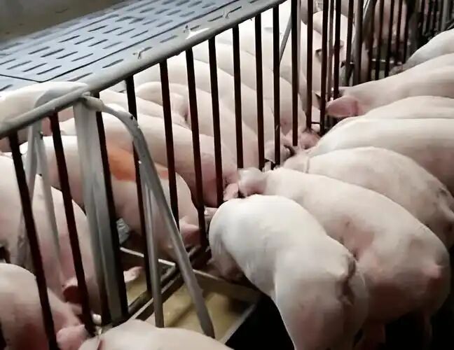 56db004ddb8d03d0faa962bb210b5f8f.jpg 56db004ddb8d03d0faa962bb210b5f8f.jpg