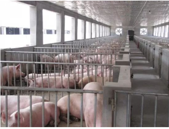 QQ瀏覽器截圖20241113085949.png QQ瀏覽器截圖20241113085949.png