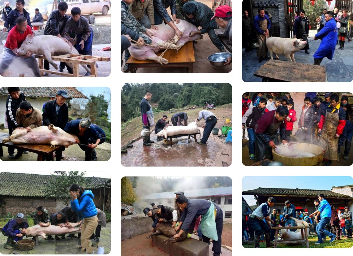 殺年豬.jpg 殺年豬.jpg