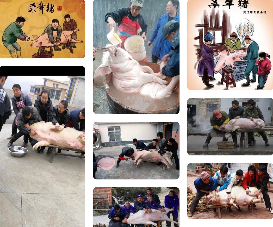 殺年豬2.jpg 殺年豬2.jpg