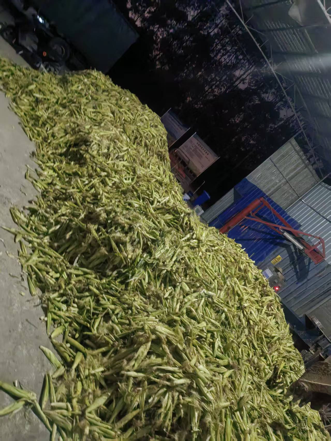 cf2e60f71a639341874966d5200353aa.jpg cf2e60f71a639341874966d5200353aa.jpg