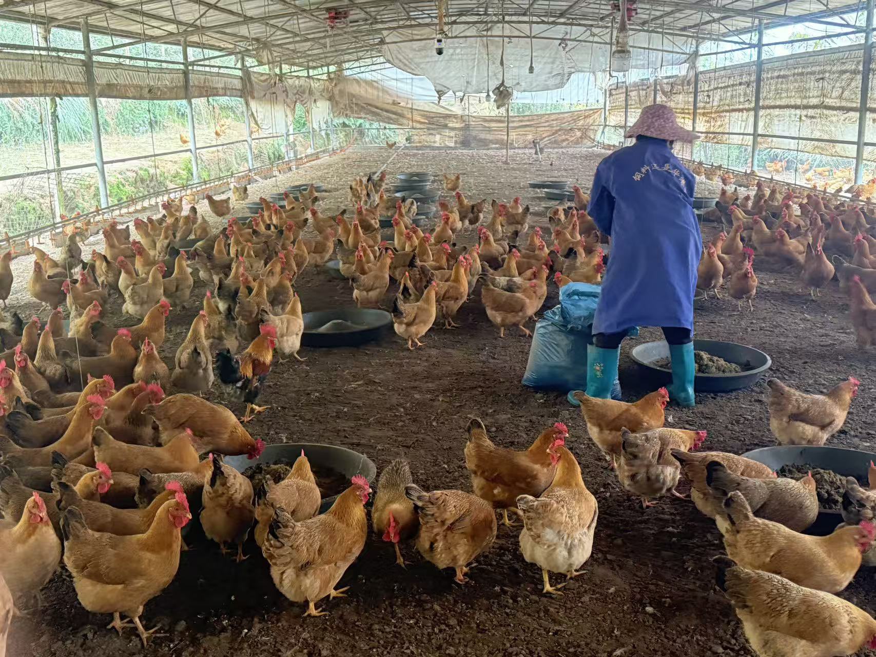 QQ圖片20260116104313.jpg QQ圖片20260116104313.jpg