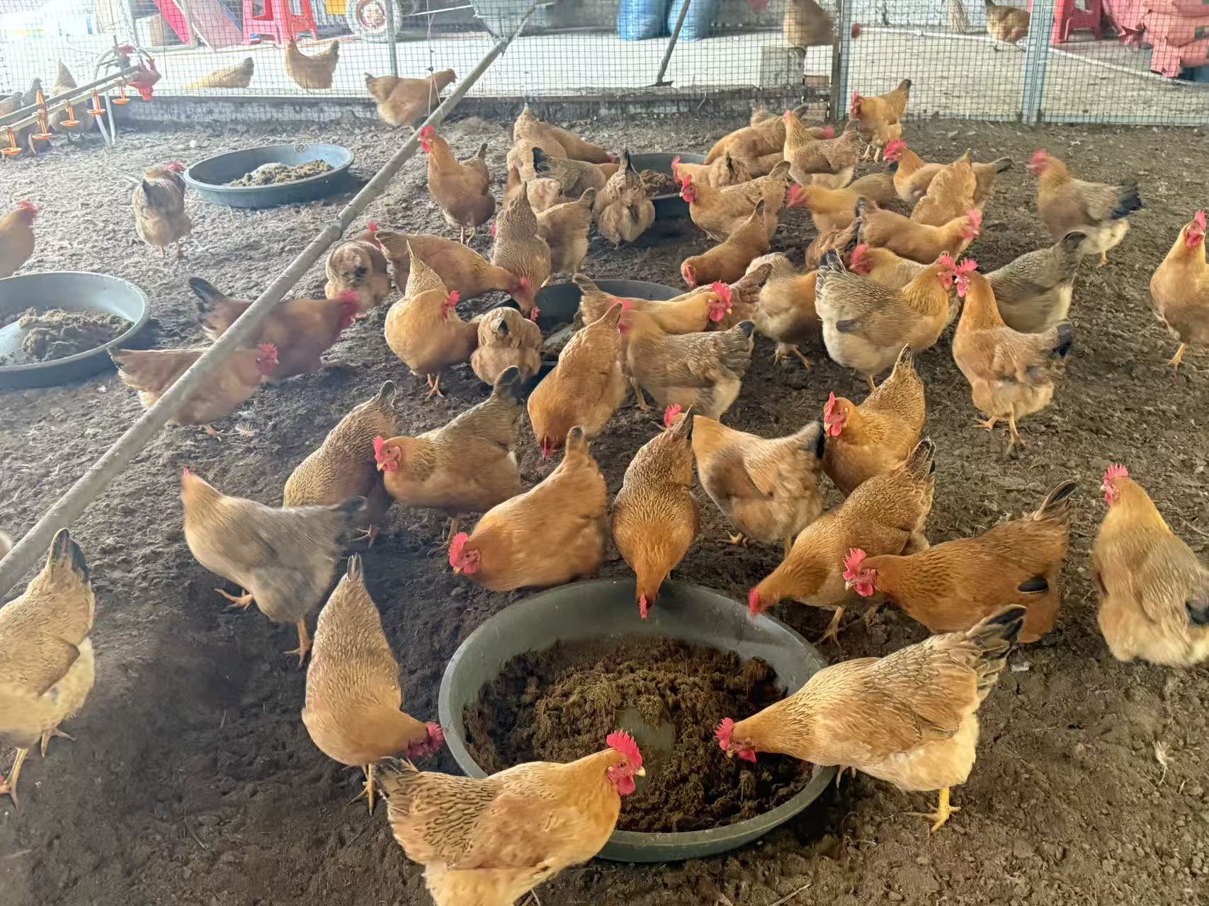 QQ圖片20260116104327.jpg QQ圖片20260116104327.jpg