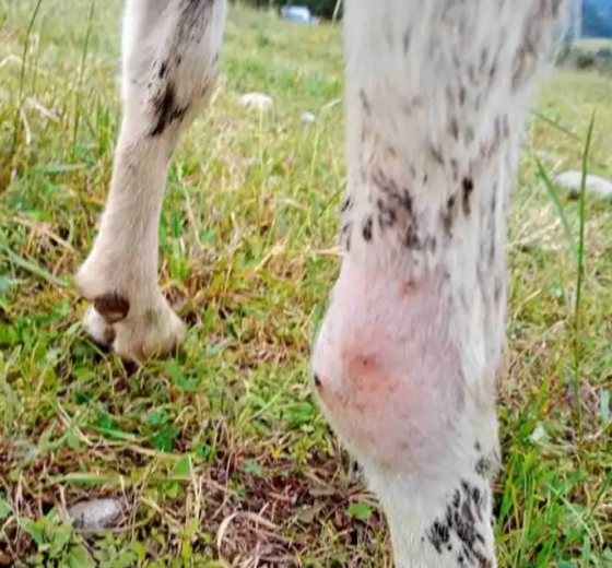 QQ圖片20260119154504.png QQ圖片20260119154504.png