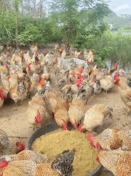 1e6f166ebb5a0af8f05ab5e01eab070e.jpg 1e6f166ebb5a0af8f05ab5e01eab070e.jpg