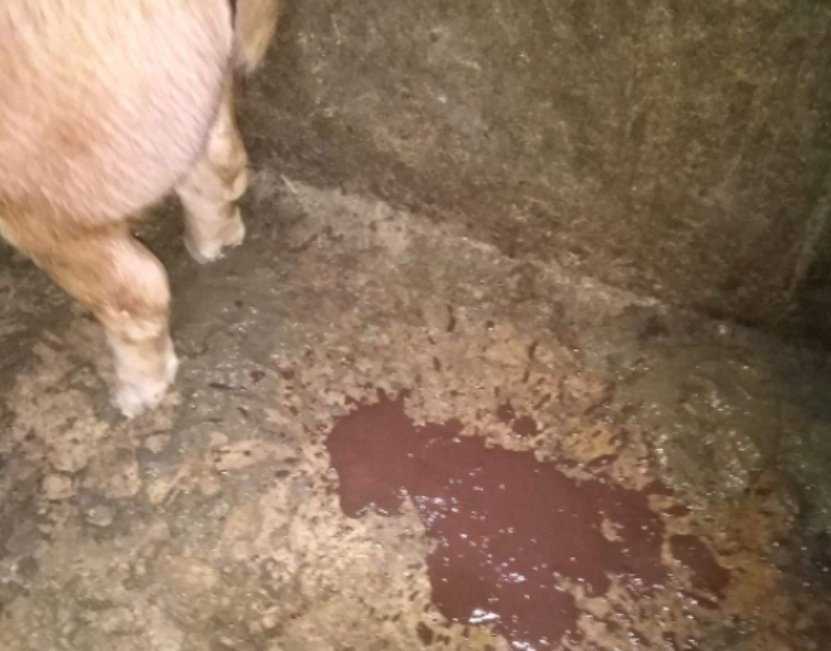 微信截圖_20260122094454.jpg 微信截圖_20260122094454.jpg