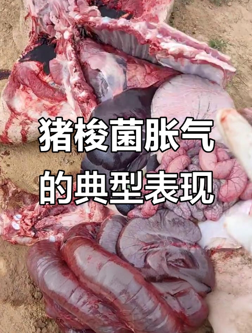 微信截圖_20260122094438.jpg 微信截圖_20260122094438.jpg