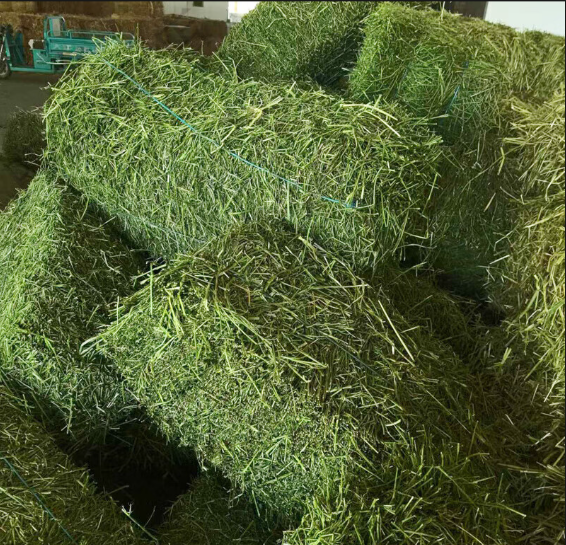 干草3.png 干草3.png