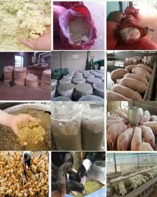 b0e5368e3e2b040f30cb0e43d85d8ea9.jpg b0e5368e3e2b040f30cb0e43d85d8ea9.jpg