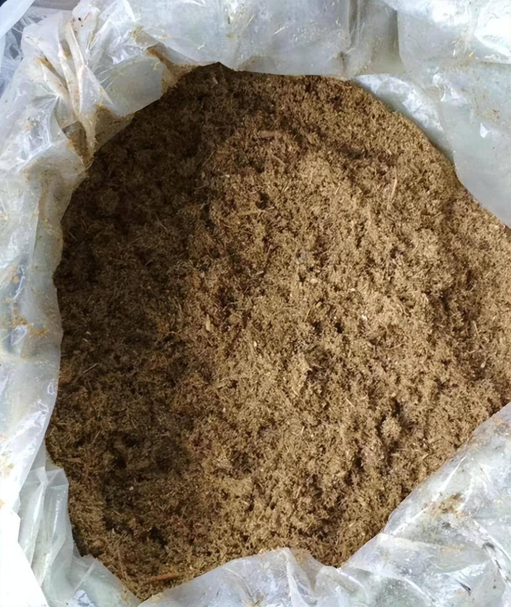 e8509bb675b898d24773161697a6f8d8_720.jpeg e8509bb675b898d24773161697a6f8d8_720.jpeg