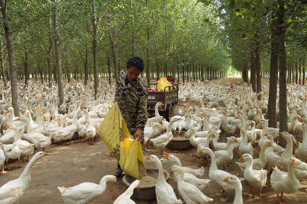 5f06ea0b31038c5bcc57d73820664698_720.jpeg 5f06ea0b31038c5bcc57d73820664698_720.jpeg