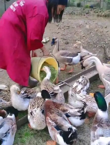 97e96645fa47b4df0a44e608c2729760.jpg 97e96645fa47b4df0a44e608c2729760.jpg