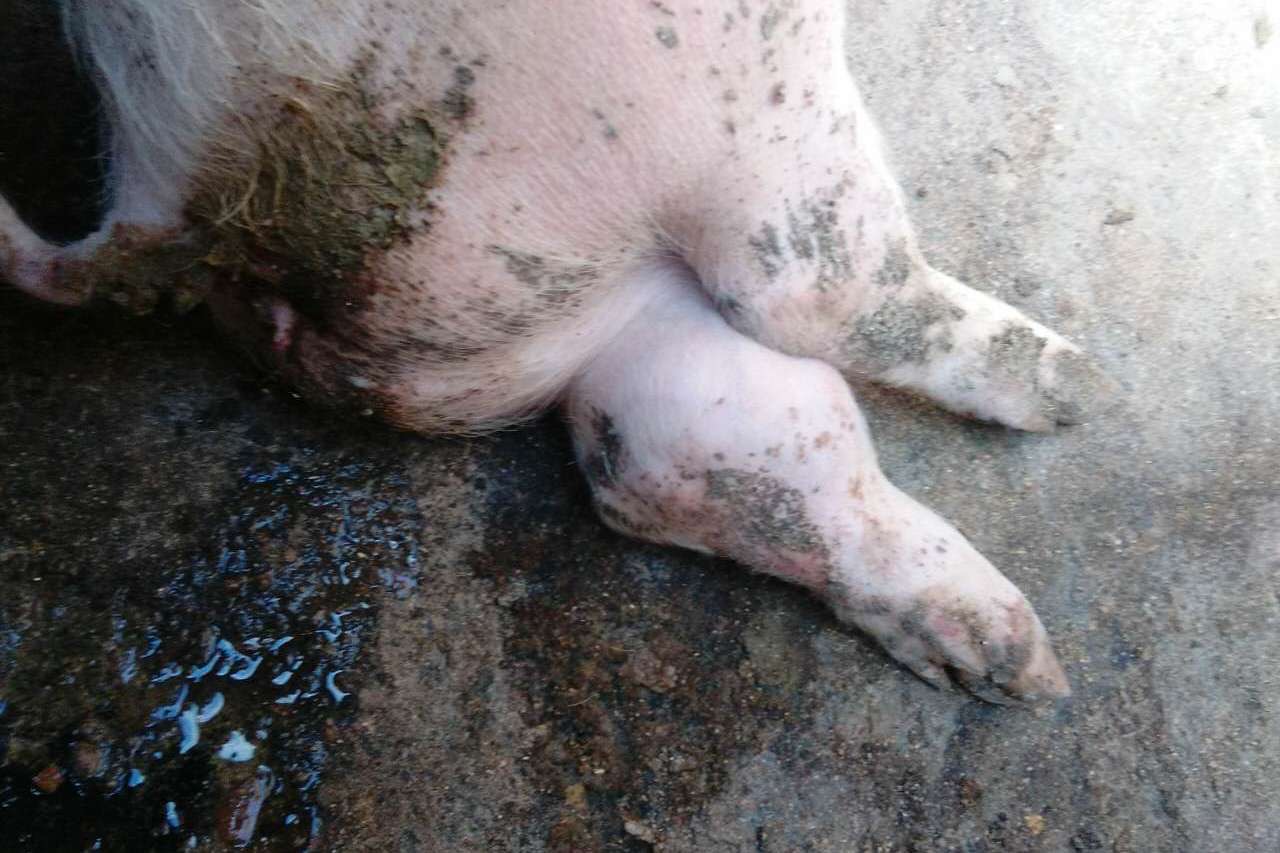 微信圖片_20260128092513.jpg 微信圖片_20260128092513.jpg