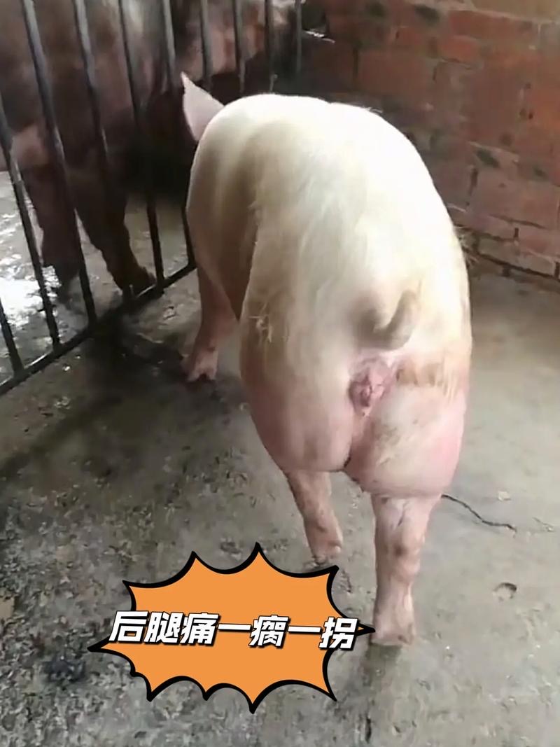 微信圖片_20260128092518.jpg 微信圖片_20260128092518.jpg