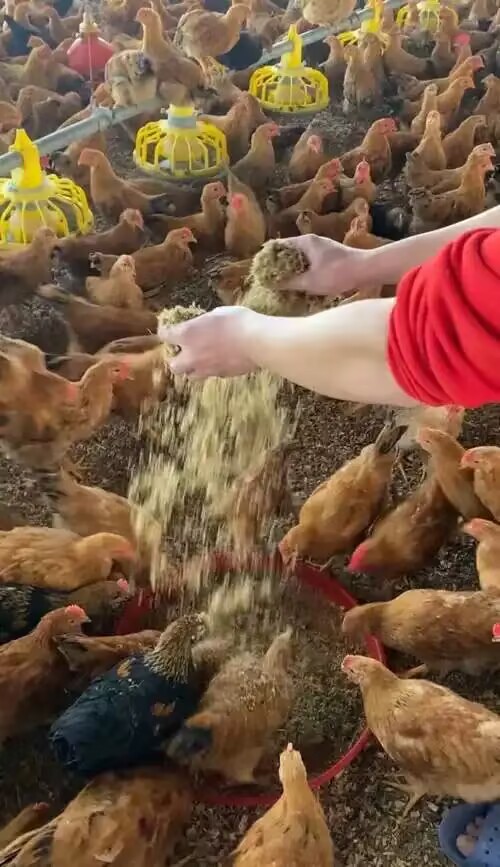 1e349d8ca69edc9070daab599487fd35.jpg 1e349d8ca69edc9070daab599487fd35.jpg