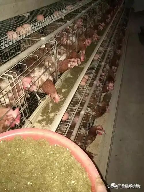 e9debf9ce39a9d29a44687a5b27b6a26.jpg e9debf9ce39a9d29a44687a5b27b6a26.jpg