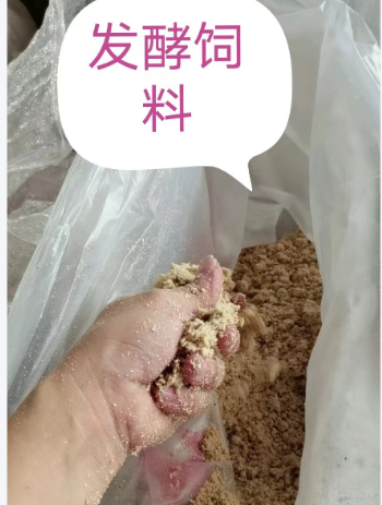 截圖20260206100304.png 截圖20260206100304.png