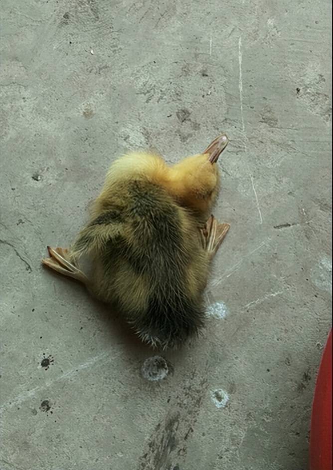 微信圖片_20260311091818.jpg 微信圖片_20260311091818.jpg